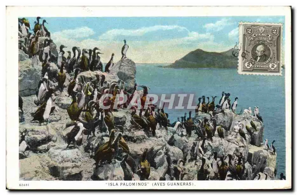 Ilha Palominos (Aves Guaneras) — colônia de corujas — editor não visível, n° de série 62601 - Frente