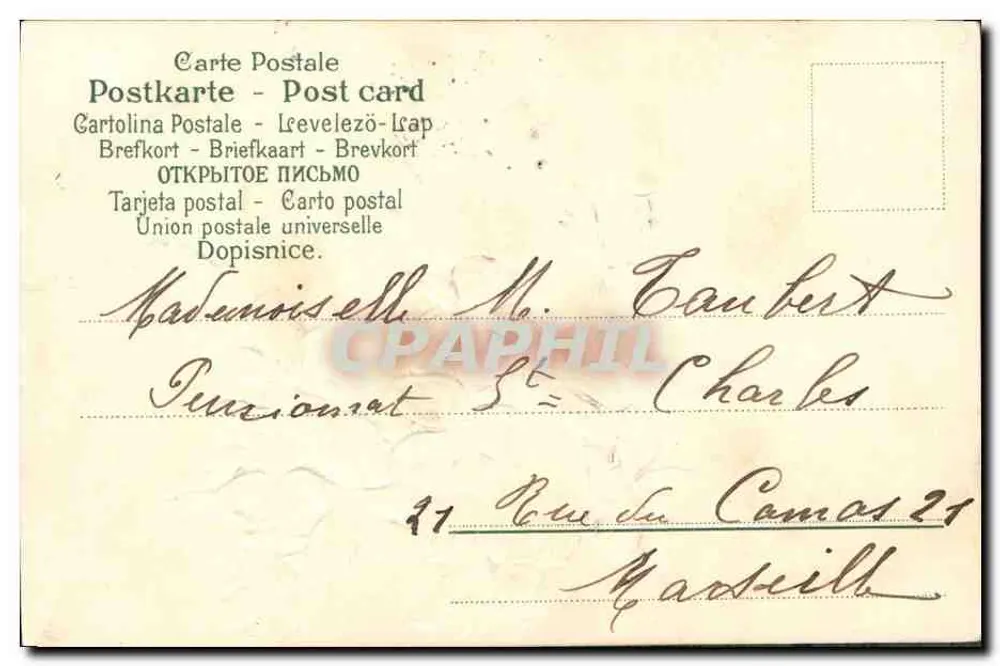 Violetas — ilustração colorida — editor S. 210 N° 2864 - Verso