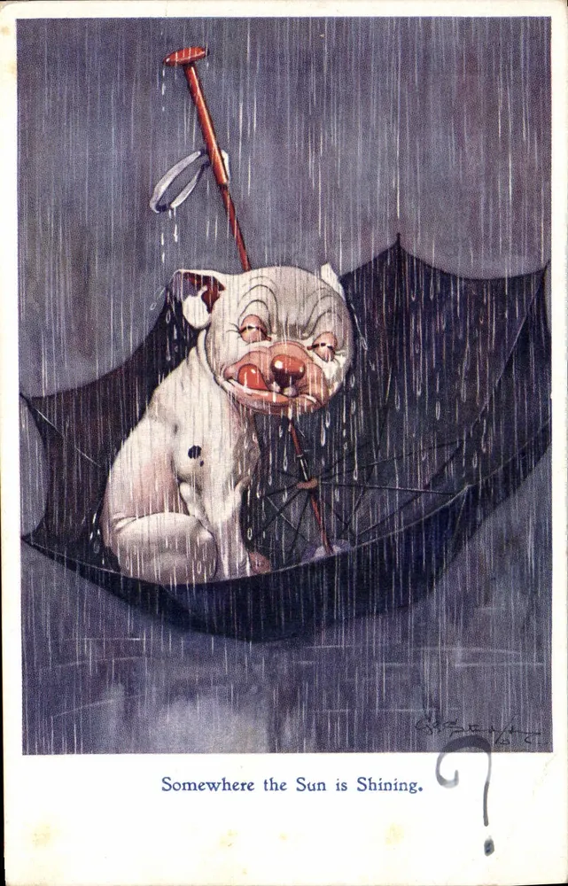 Hund unter einem Regenschirm — 'Somewhere the Sun is Shining' — R.P.S. Series Post Cards 1833 - Vorderseite