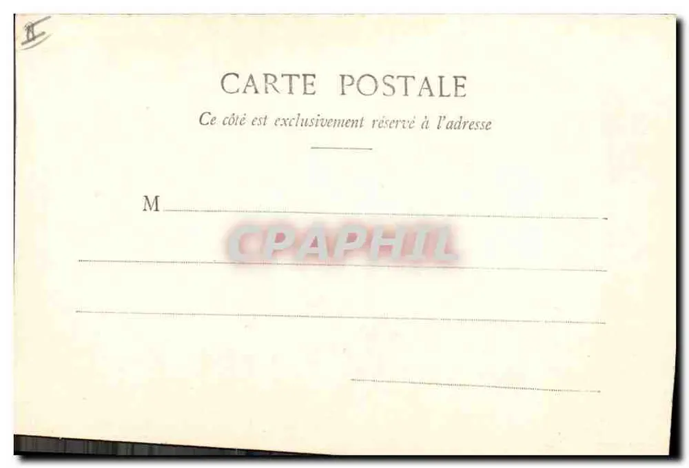 Fleurs d'Hiver — jeune femme entourée de chrysanthèmes — Phototypie A. Berberet & Cie, Nancy, n°5 - Verso