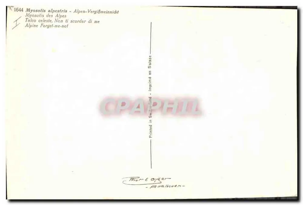 Myosotis alpestris — Myosotis alpino — impresso na Suíça - Verso