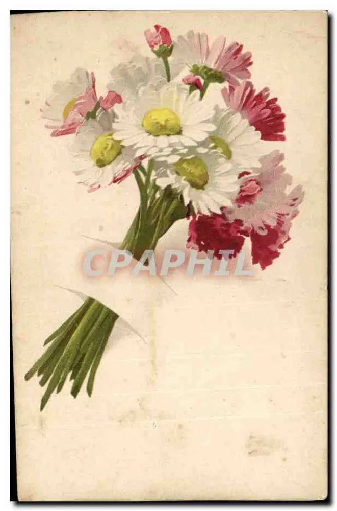 Arranjo de flores — ilustração — editor desconhecido - Frente