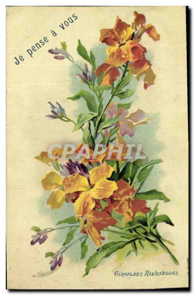Farbenfrohe Blumen — 'Ich denke an Dich' — Giroflées Ravenelles, Nr. 3484 - Vorderseite