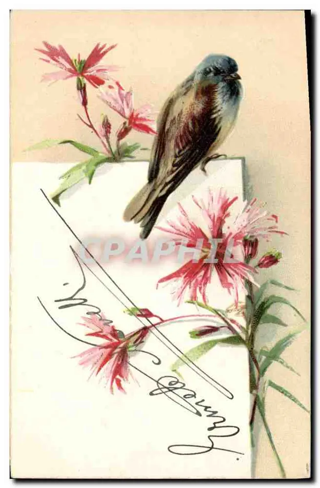 Ave em flores — ilustração — editor não identificado - Frente