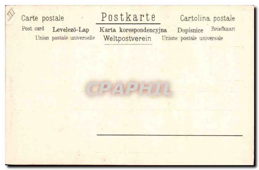 Dois papagaios — ilustração naturalista — A.S. & Co. n°127 - Verso