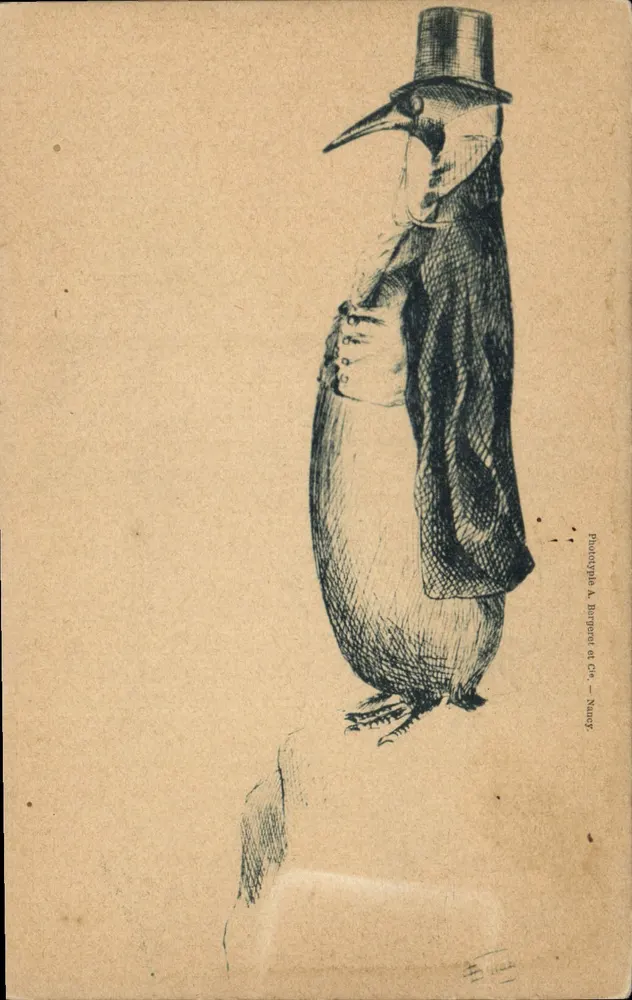 Pinguim de terno — desenho — Fototipia A. Burgard e Cia — Nancy - Frente