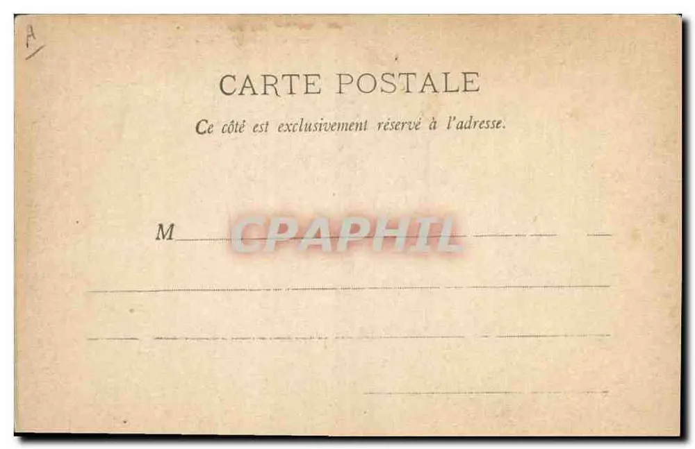 Pinguim de terno — desenho — Fototipia A. Burgard e Cia — Nancy - Verso