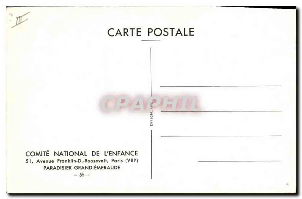 Pássaro exótico — ilustração naturalista — Comité National de l'Enfance, Paris - Verso