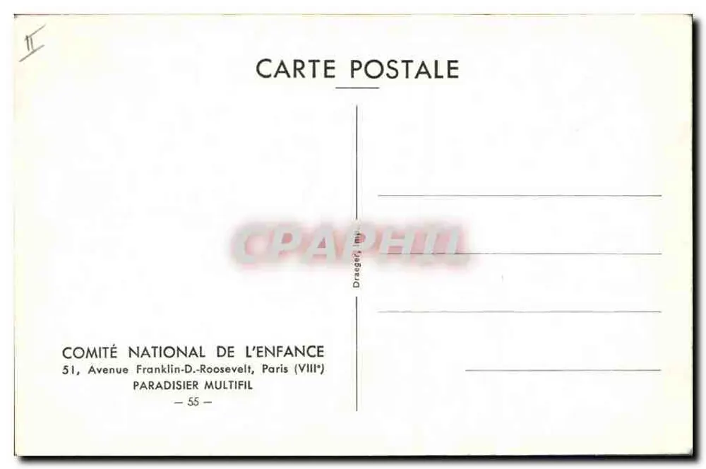 Ave paradisíaco — ilustração naturalista — Comitê Nacional da Criança, Paris - Verso