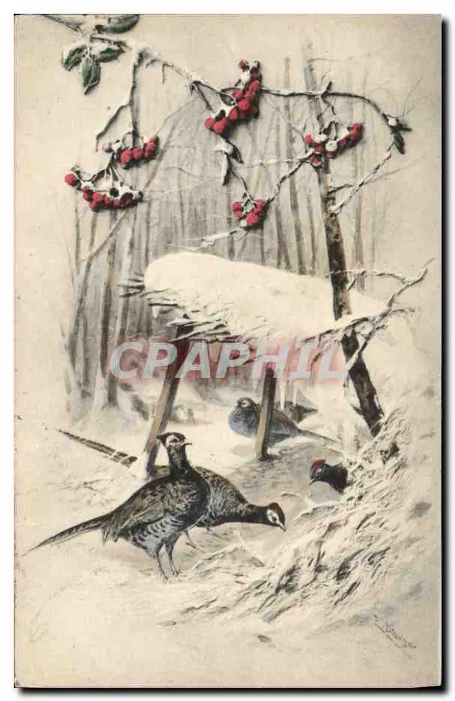 Drewniane kury zimą — scenografia z zimowego lasu — wydawca M.M. VIENNE, nr 117 - Awers