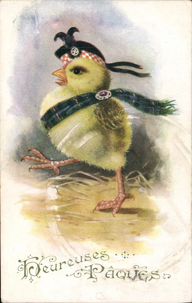 Pintinho em traje escocês — Inter-Art Co. "COMODE" Series n°3089 - Frente