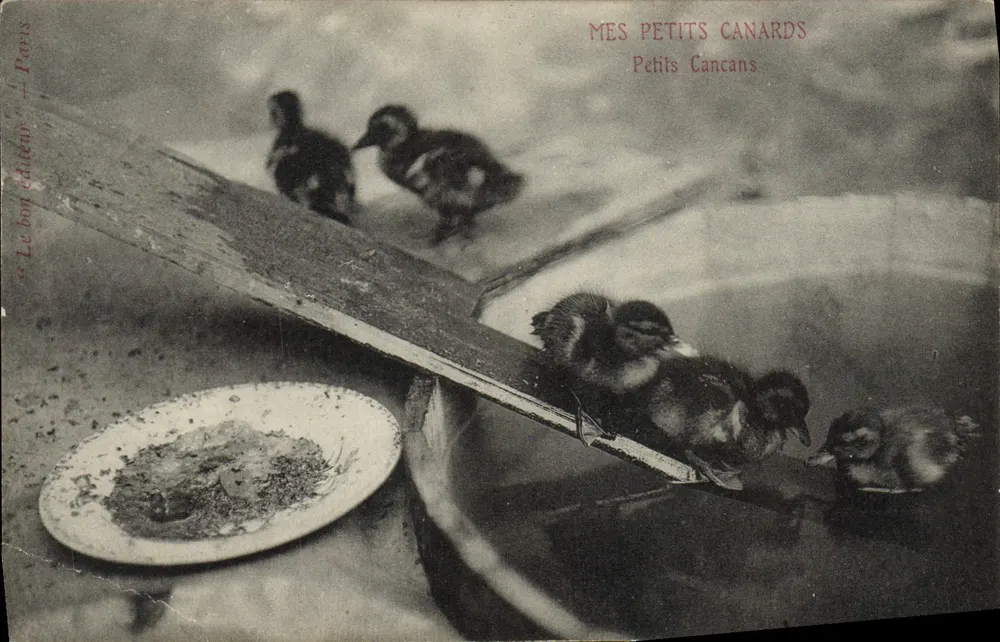 Meus Patos Pequenos — Pequenos Escândalos — O bom editor, Paris - Frente