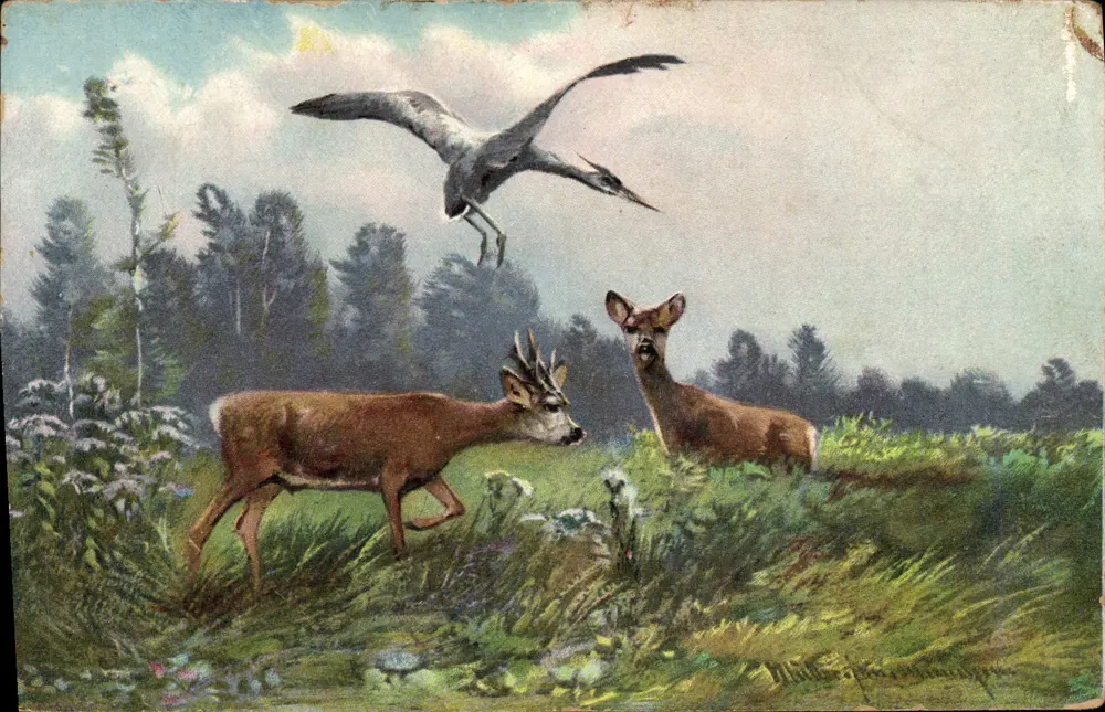 Dois cervos e um garça em floresta — editor Weltpostverein, n° de série 640 (6 Dés.) - Frente