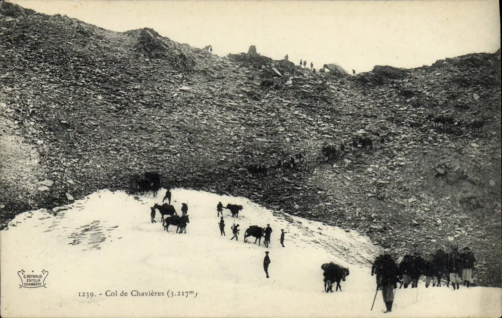 Col de Chavières (3.217m) — schneebedeckte Berglandschaft mit Herden und Wanderern — E. Reynaud, Verleger, Chambers, Nr. 1239 - Vorderseite