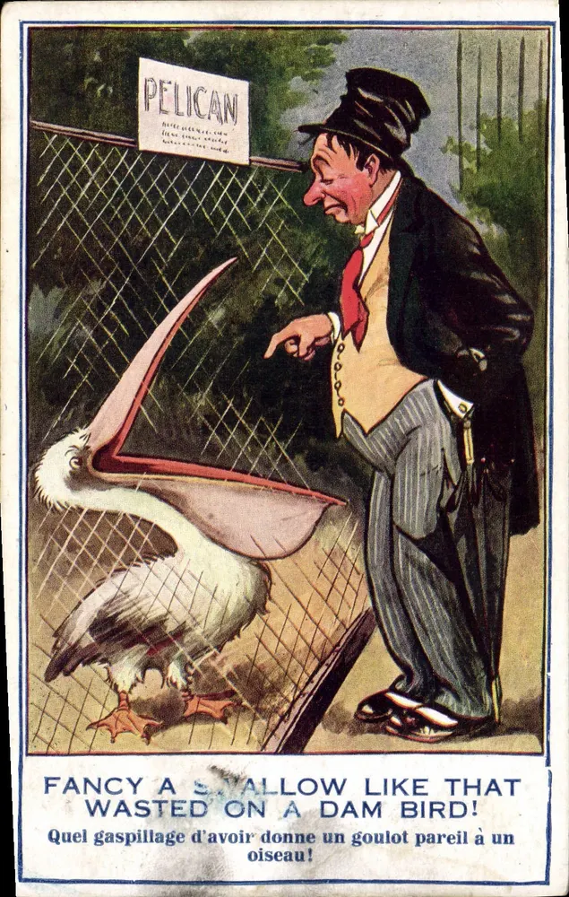 Pelican — caricatura de um homem admirando um pelicanos em cativeiro — British Manufacture, W.C., série No. 125 - Frente