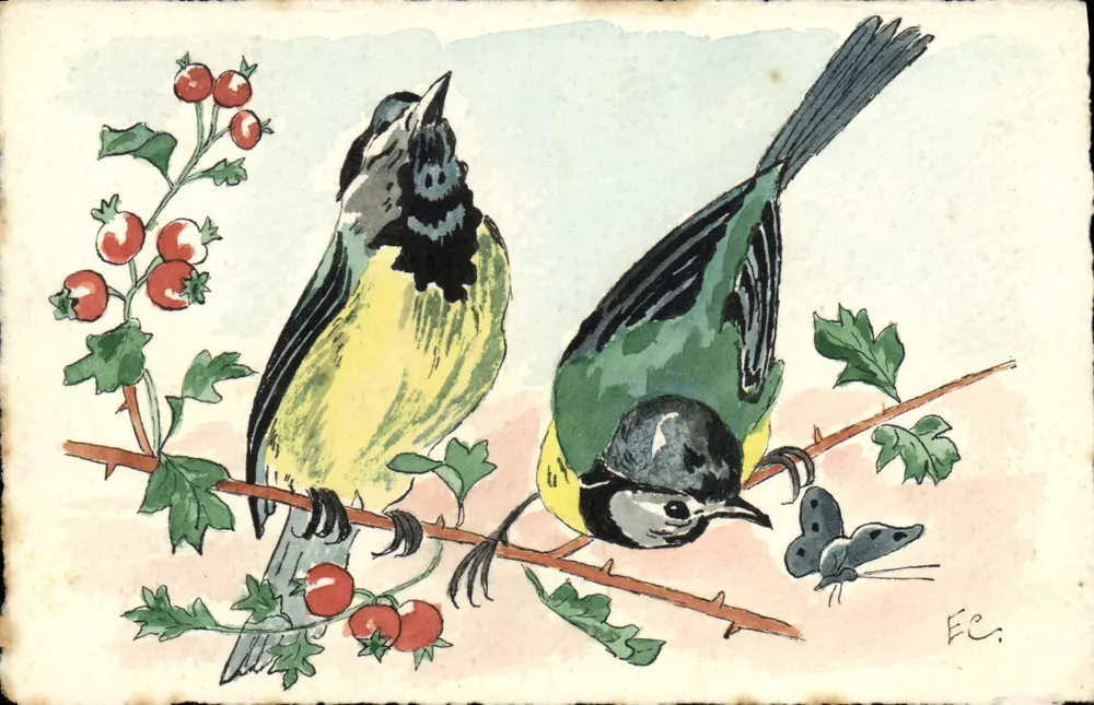 Dois pássaros em uma galhada — ilustração — EC. - Frente