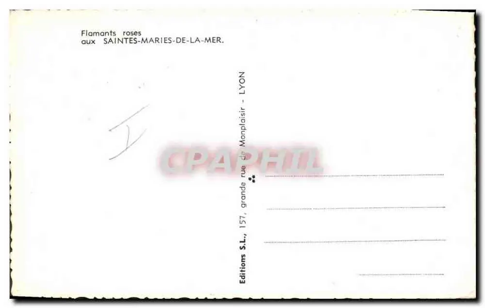 Rosaflamingos bei Saintes-Maries-de-la-Mer — Éditions S.L. Lyon - Rückseite