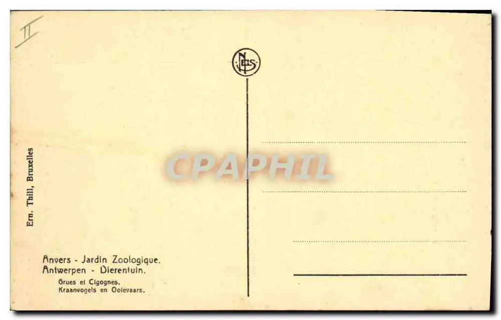Antwerpen - Zoologischer Garten — Kraniche und Störche — Verlag Thill, Brüssel, Nr. II - Rückseite