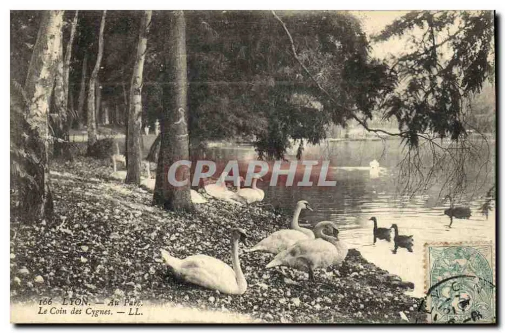 LYON — Im Park. Der Schwanenbereich — LL. — n°166 - Vorderseite
