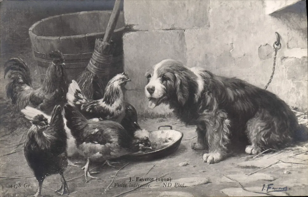 Hund und Hühner — Landwirtschaftliche Szene — J. Faverot (1910) — ND Phot. - Vorderseite
