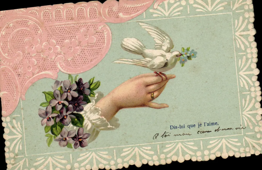 Ave de branco carregando flores — mão segurando um buquê de violetas — editor 'Made in Germany', série 586 - Frente