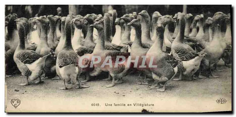 Eine Familie in Villégiateure — Nr. 4648 — Verlag E.P.D. - Vorderseite