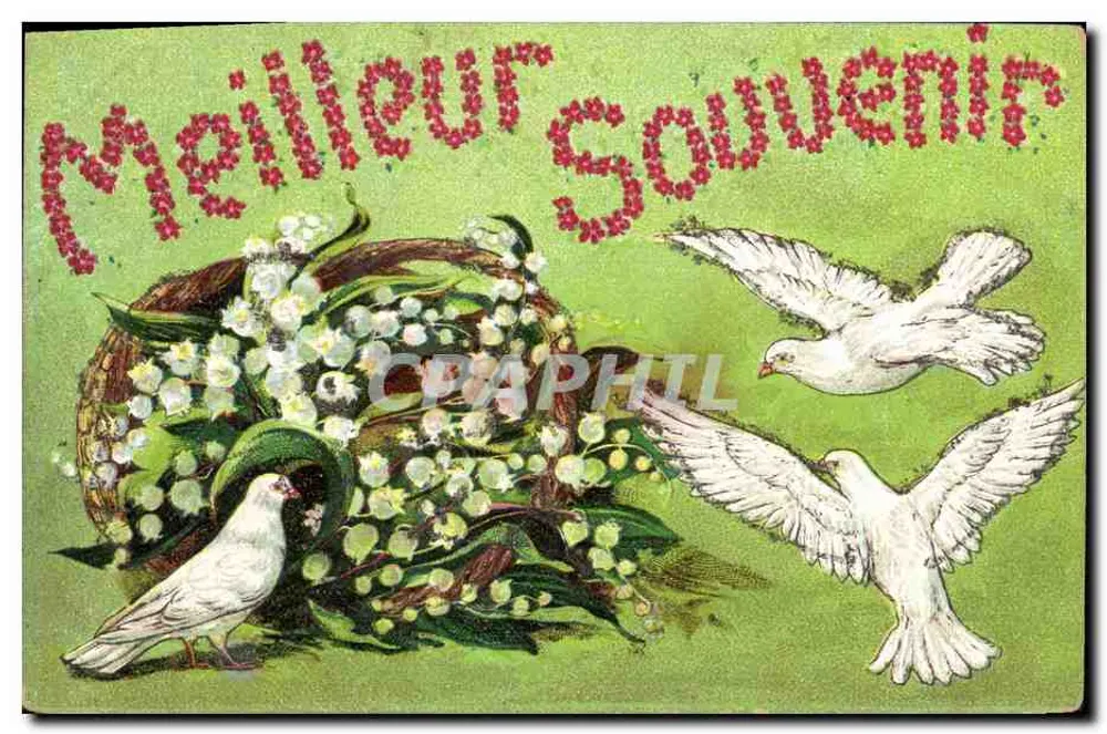 Taube und Lilien — Bestes Erinnerungsstück — J.C. Paris, Nr. 1604 - Vorderseite