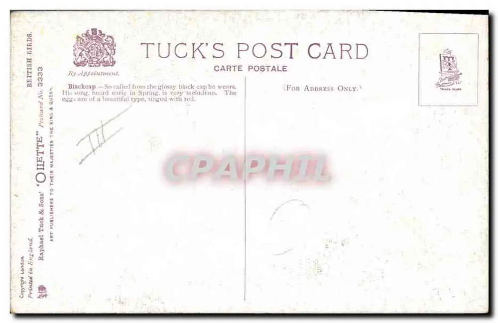 Blackcap — ave de primavera — Cartão Postal Tuck n°3333 - Verso