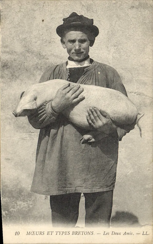 Homem breton carregando um porco — Série 'Costumes e Tipos Bretões' — Les Deux Amis — LL. - Frente