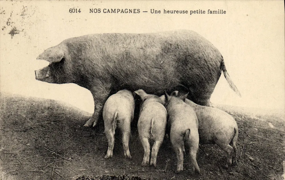 Unsere Landschaft — Eine glückliche kleine Familie — Nr. 6014 - Vorderseite