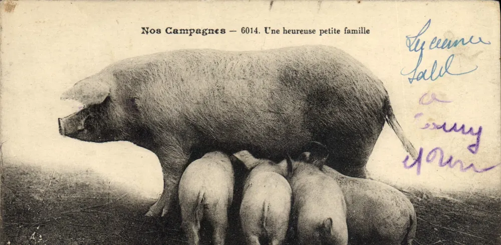 Unsere Landwirtschaft — 6014. Eine glückliche kleine Familie - Vorderseite