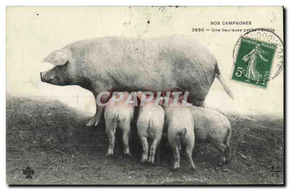 Unsere Landwirtschaft — Eine glückliche kleine Familie — Serie 2830 - Vorderseite