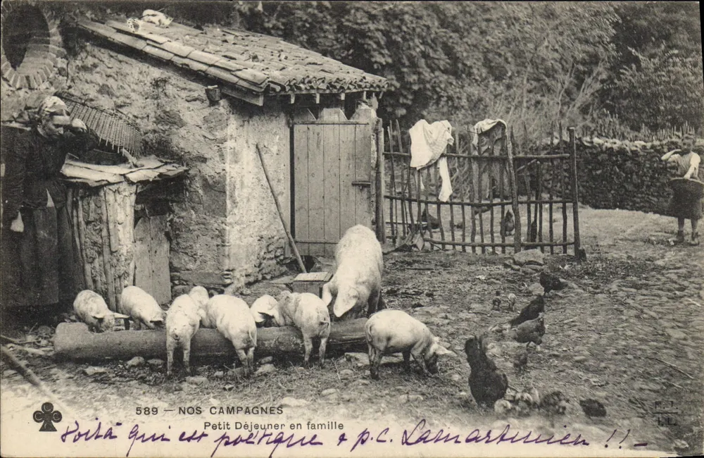 Familienfrühstück — Unsere Lande — Verlag P.C. Lainartissien, Nr. 589 - Vorderseite