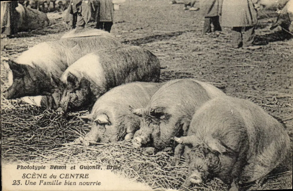 Szene vom Zentrum — Eine gut ernährte Familie — Phototypie Bessot et Guionnié, Brive - Vorderseite