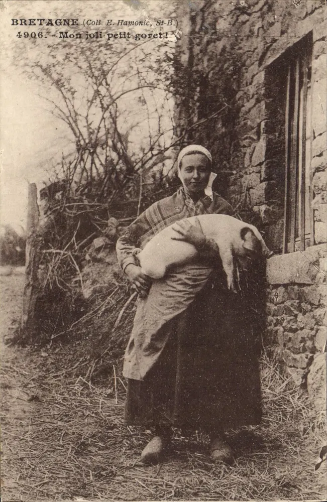 Bretagne — Frau, die ein kleines Ferkel hält — Coll. E. Hamonic, St-B. n° 4906 - Vorderseite