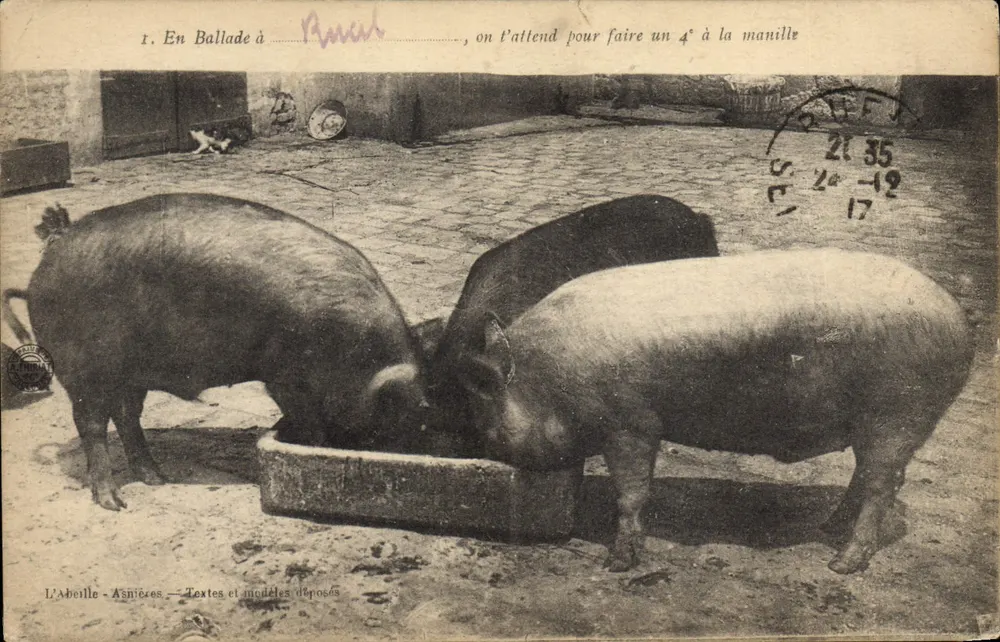 Pigés à l'Abelle - Asnières — Textos e modelos depositados - Frente