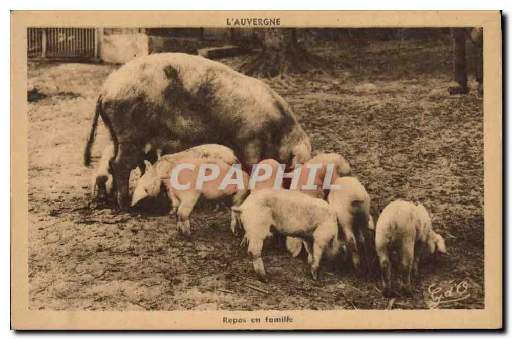 Auvergne — Familienmahl — GAO, Nr. 1205 - Vorderseite