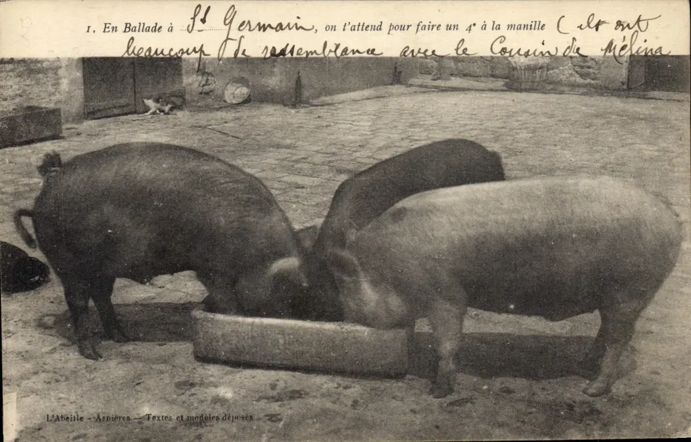 Pigés à Saint-Germain-en-Laye — L'Abeille - Asnières — Textes et modèles déposés - Frente