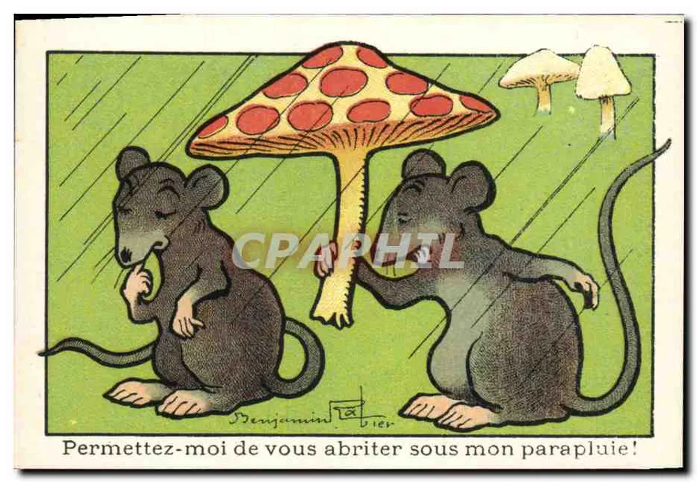 Zwei Ratten unter einem Pilz — humorvoller Zeichnung — Benjamin Tardier - Vorderseite