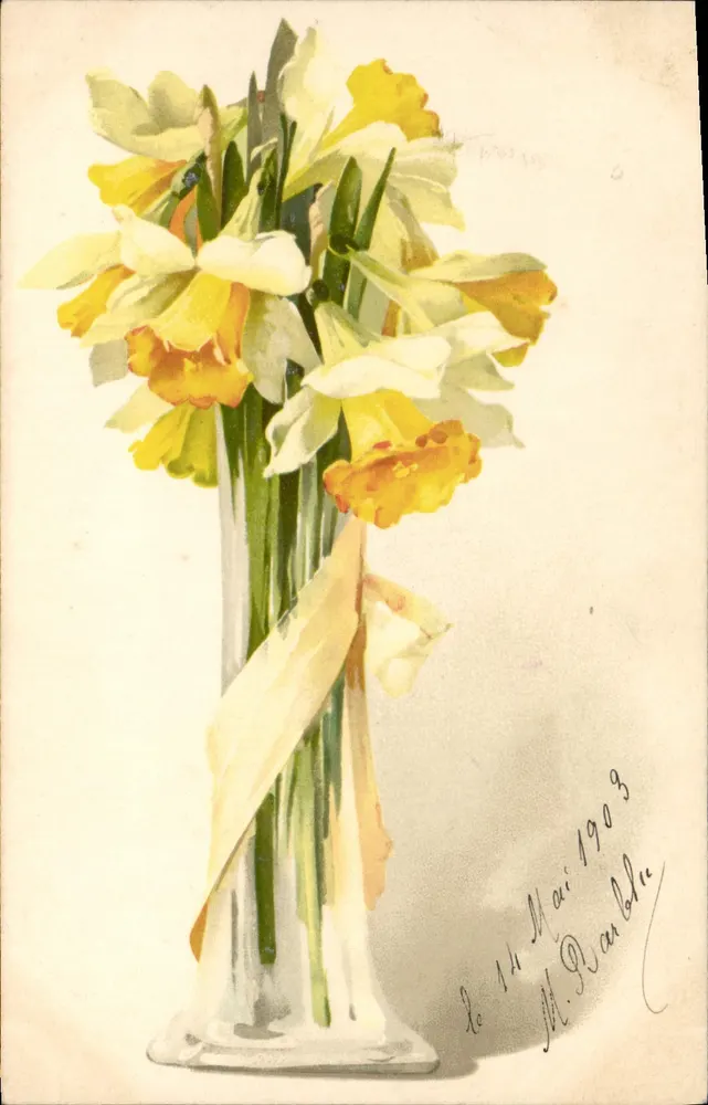 Arranjo de narcisos — ilustração — editor não visível - Frente