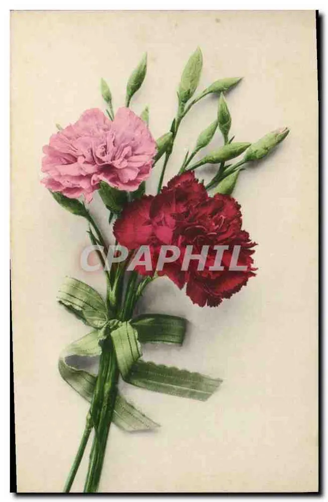 Bouquet peonia's — roze en rood — uitgever Martin Rommel & Co., Stuttgart - Voorkant