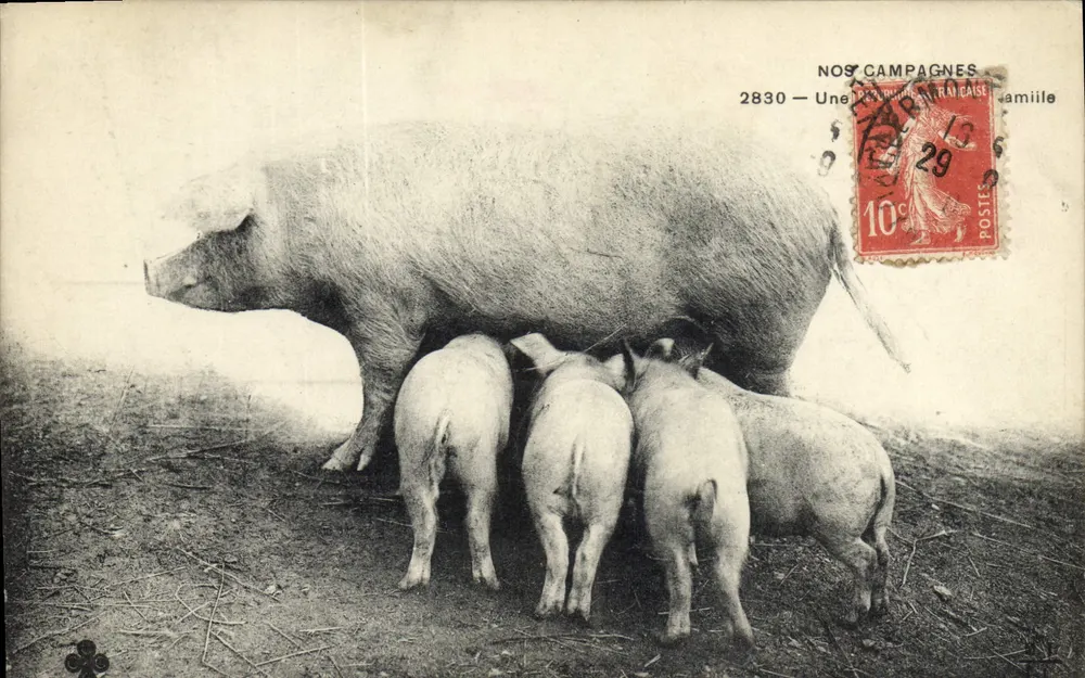 Onze Campagnes — Een Franse productie — uitgever Lamielle, n° 2830 - Voorkant