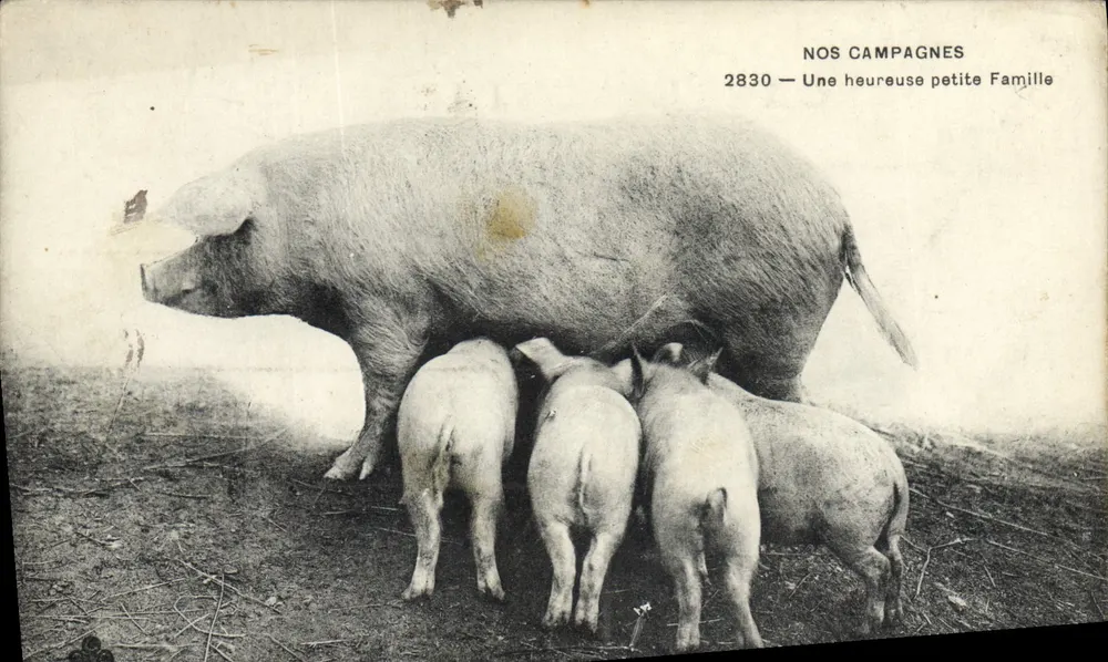 Unsere Landschaft — Eine glückliche kleine Familie — 2830 — Verlag OUR COUNTRYSIDE - Vorderseite