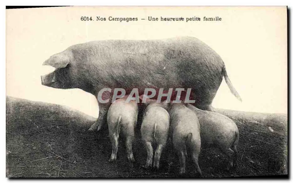 Unsere Landwirtschaft — Eine glückliche kleine Familie — Serie 6014 - Vorderseite