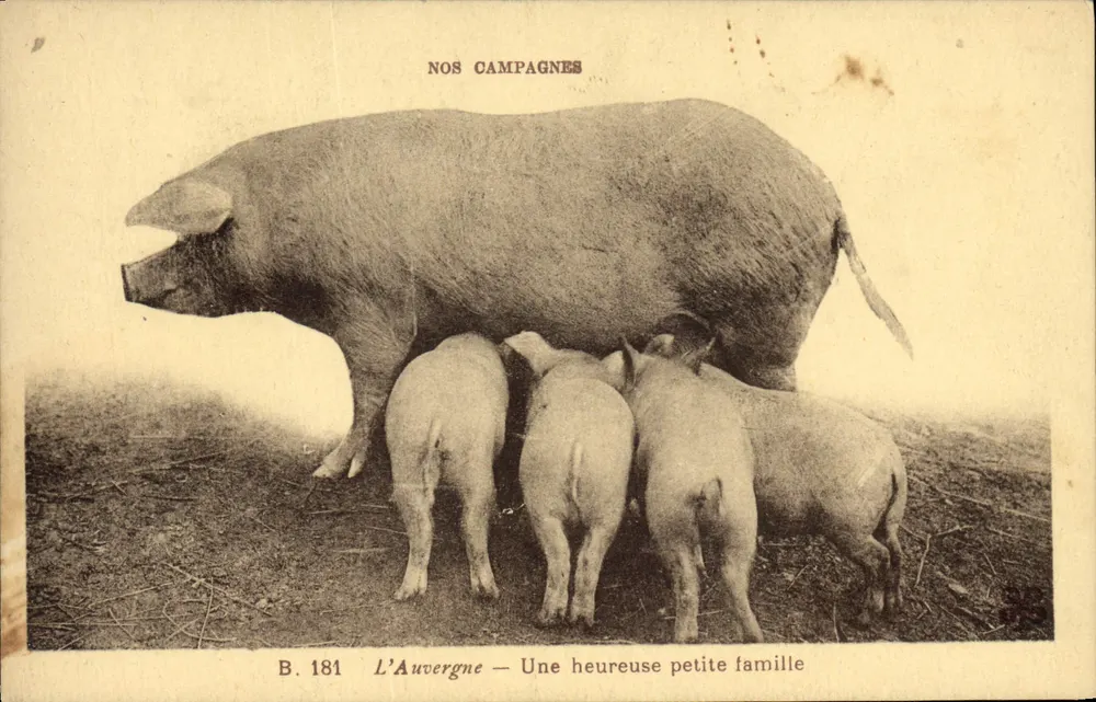 Die Auvergne — Eine glückliche kleine Familie — Nos Campagnes B. 181 - Vorderseite