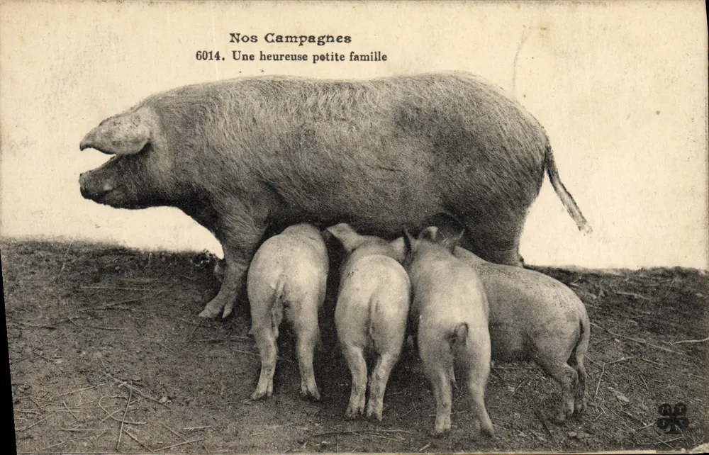 Unsere Landwirtschaft — Eine glückliche kleine Familie — Serie 6014 - Vorderseite