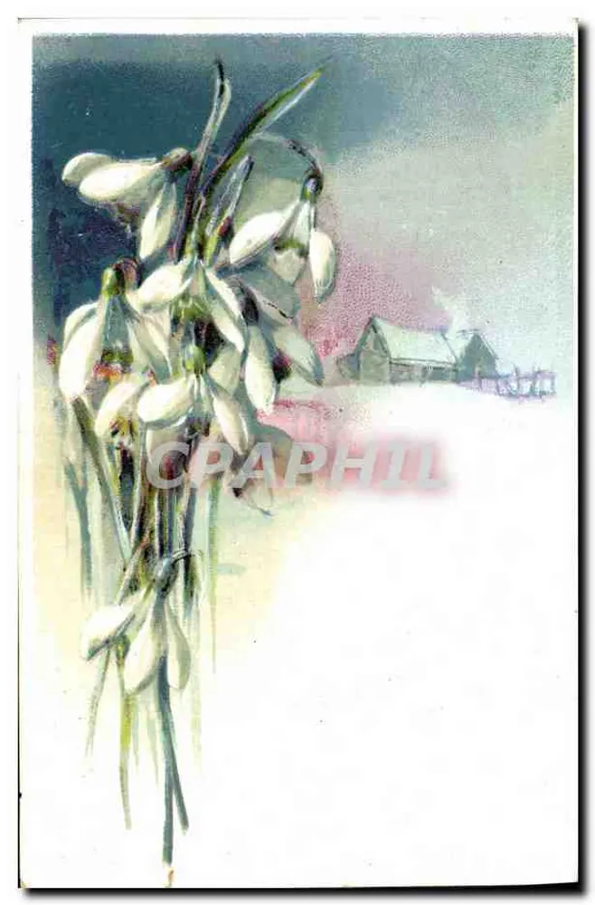 Bouquet de fleurs de neige — paysage hivernal avec maison — Chemiserie Carbonel, Marseille - Awers