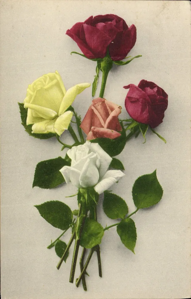 Arranjo de rosas — cores variadas — Editor: Rép. de la Poste em Zurique, Suíça - Frente