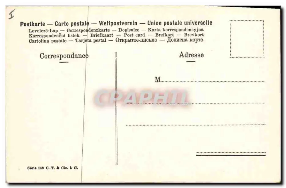 Dois dahlias lilás — ilustração botânica — Série 150 C. T. & Cie. à G. - Verso