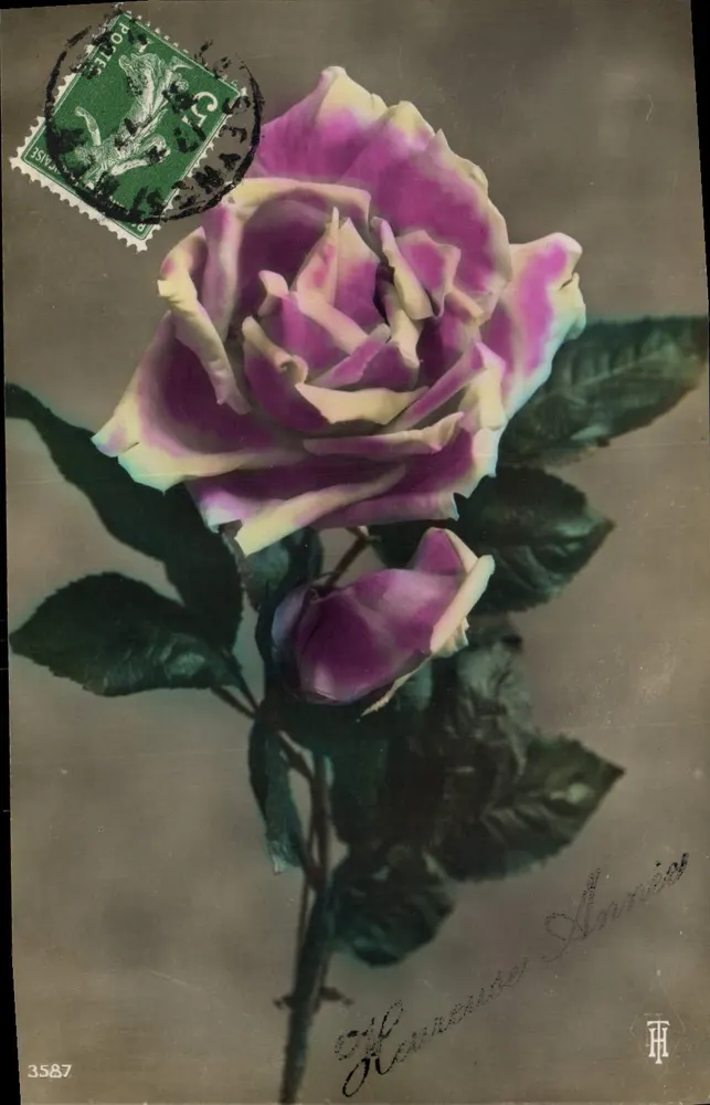 Rose Annies — Uitgave R.H. n°3587 - Voorkant
